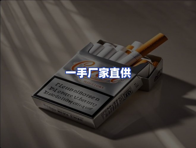 专业团队